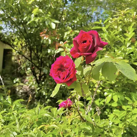 Rural House With Views