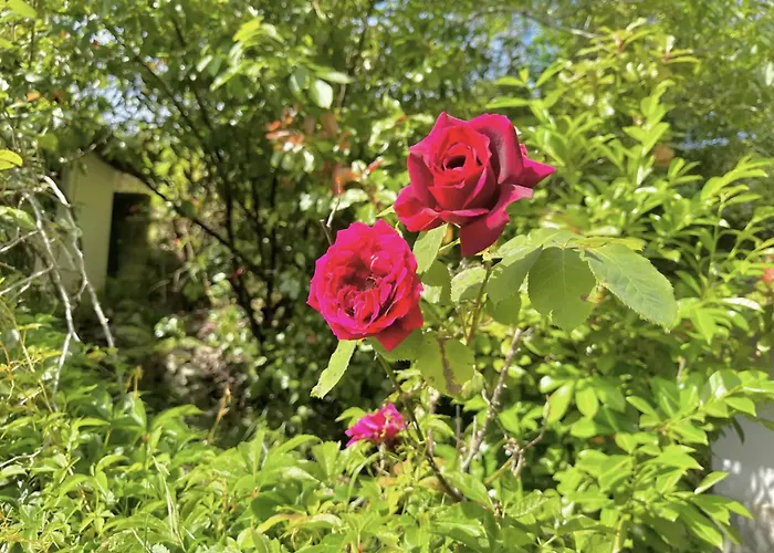 Rural House With Views